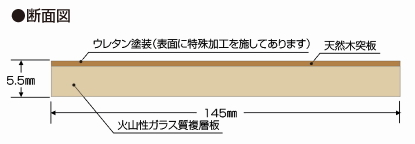 スクレイプウォール断面図